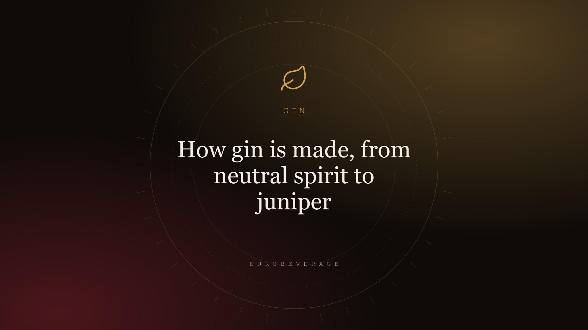 How gin is made, from neutral spirit to juniper: EuroBeverage cover in amber type on dark oak